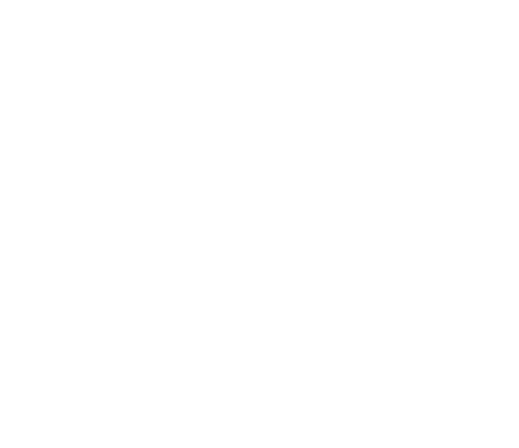 Porsche Logo