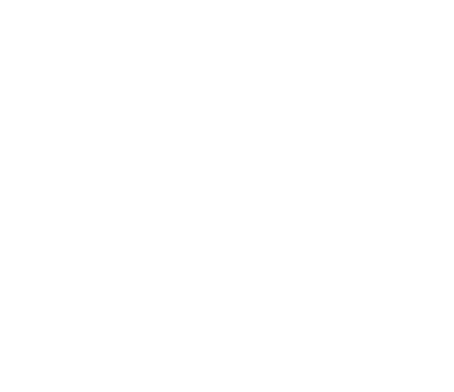 Alexandria Economic Development Partnership Logo