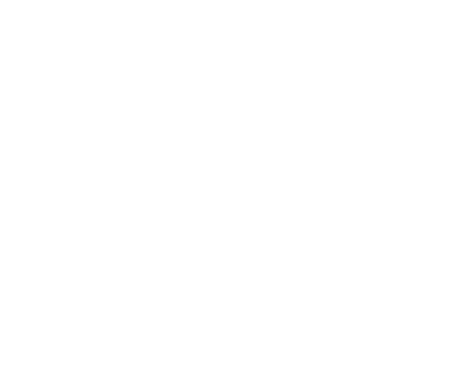 Fulbright Scholarship